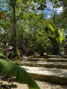 eine Betontreppe in einem Wald mit Bäumen in der Unterkunft Aldea Yuyu in Tulum + 80 Fotos