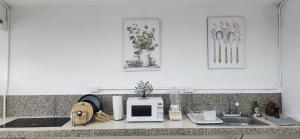 a kitchen counter with a microwave and a sink at Loft Colibrí en Centro Histórico Carmen in Ciudad del Carmen