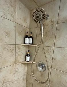 eine Dusche mit Duschkopf in einem Badezimmer in der Unterkunft Natures Nest Waterfront in Homosassa + 32 Fotos