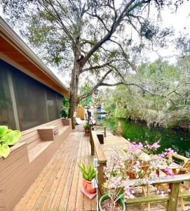 eine Holzterrasse mit einem Baum und einigen Pflanzen in der Unterkunft Natures Nest Waterfront in Homosassa