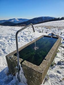 une fontaine dans un abreuvoir en pierre sous la neige dans l'établissement le flocon chaud sauna, à La Bresse