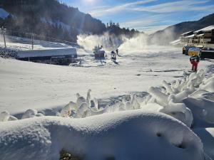 a bunch of snow sculptures on a ski slope at le flocon chaud in La Bresse +9 photos