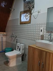 a bathroom with a toilet and a sink at The Clifton chapter tirthan in Gushaini