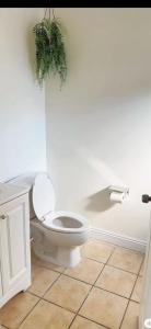 a bathroom with a toilet and a potted plant at Pretty bedroom with shared bathroom in Hacienda Heights