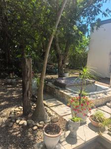 En have udenfor 22 on BREEZAND