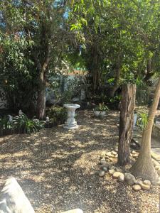 En have udenfor 22 on BREEZAND + 6 billeder