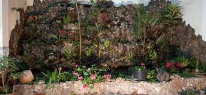 Zahrada ubytování Hotel San Marcos Las Lajas + 18 fotografií