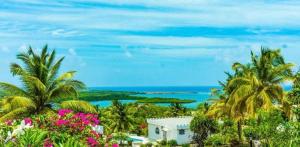 a view of the ocean from a resort with palm trees at Castles in Paradise by ZenBreak in Desruisseaux