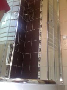 a shower with a glass door in a bathroom at Colt de Rai in Covasna