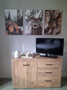 TV a/nebo společenská místnost v ubytování Agli Chalet Bosco- parcheggio e colonnina ricarica auto elettrica con supplemento