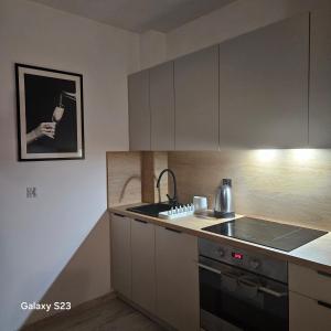 Køkken eller tekøkken på Studio Człuchów Centrum + 4 billeder