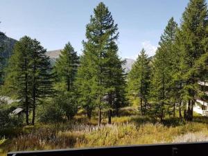 Naturlandskabet i nærheden af lejligheden