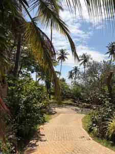 En have udenfor Tangalle Bay Beach Villa