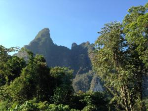a forest of trees with mountains in the background at Thai Life Guesthouse - SHA EXTRA PLUS in Khao Lak