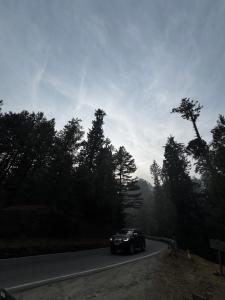 a car is driving down a road with trees at Venture Vista Gulmarg in Jāmb