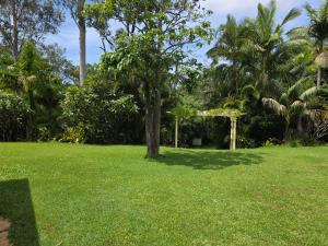a park with a tree and a gazebo at Gaven Garden in Gold Coast