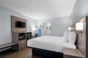 a hotel room with a large bed and a tv at Econo Lodge Daytona Beach - Speedway in Daytona Beach