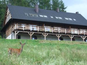 Zdjęcie z galerii obiektu Cudne Manowce w Wetlinie