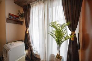 una pianta in un vaso davanti a una finestra di South 1014 a Sapporo Altre 115 foto