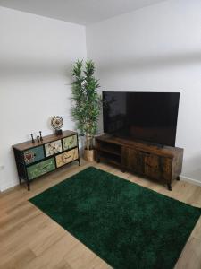 ein Wohnzimmer mit einem großen Fernseher und einem grünen Teppich in der Unterkunft WohnTraum Im Grünen in Dresden