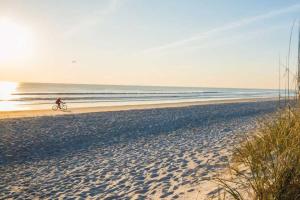 Φυσικό τοπίο κοντά σε αυτό το διαμέρισμα +6 φωτογραφίες