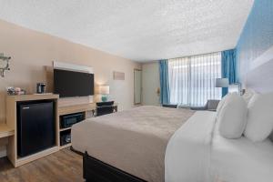 ein Hotelzimmer mit Bett und Flachbildfernseher in der Unterkunft Quality Inn & Suites Conference Center in New Port Richey