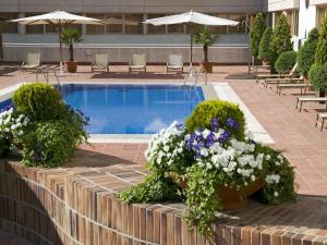 ein Pool mit Topfblumen und Tischen und Stühlen in der Unterkunft Novotel Campo De Las Naciones in Madrid