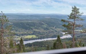 Naturlandskabet i nærheden af lejligheden