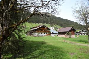 a group of buildings in a grassy field with trees at Haus Derra in Mittelberg