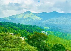 a mountain in the distance with trees and houses at Zonooro Homestay Vythiri in Vythiri +7 photos