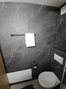 un bagno con un water e un foglio di carta sul muro di Kehr Apartment - Aare Jungfrau AG a Grindelwald