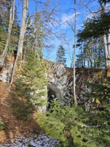 een stenen grot midden in een bos bij Casa din fagi in Munună