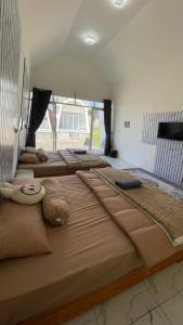 a group of four beds in a room at Villa Celyn Dieng2 in Diyeng
