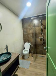 een badkamer met een wastafel, een toilet en een douche bij Casa din fagi in Munună