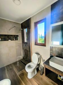een badkamer met toilet, douche en wastafel bij Casa din fagi in Munună