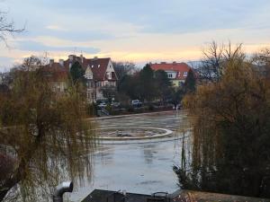 a street with a fountain in the middle of a city at Rzymskie Wakacje in Opole