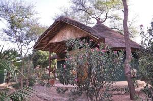 TurmiBusca Lodge的花园中带茅草屋顶的小房子