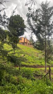 een huis op de top van een heuvel met bomen bij O-Frame by WildFoot in Kabaru