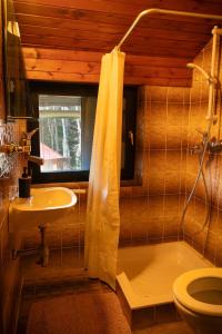 een badkamer met een wastafel, een toilet en een douche bij Kopitnik cosy cabin in Dol pri Hrastniku