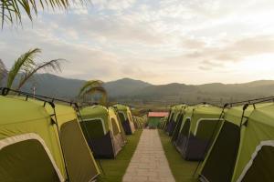a row of green tents with mountains in the background at Araku Mountview Camping Resort in Araku