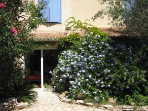 a large bush of flowers in front of a building at Gite "villa lou félibre" in Vic-la-Gardiole