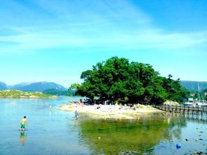 a group of people on a beach with a tree at Skånevik Fjordhotel in Skånevik