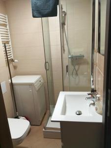 Koupelna v ubytování Oliwa Park Studio