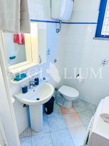 ein Badezimmer mit Waschbecken und Toilette in der Unterkunft Raffaella 2 in Campese
