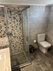 een badkamer met toilet en glazen douche bij Mpalaskas Apartments in Vonitsa