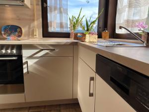 a kitchen with a sink and a stove at Ferienwohnung Diesbrunnen in Ebermannstadt