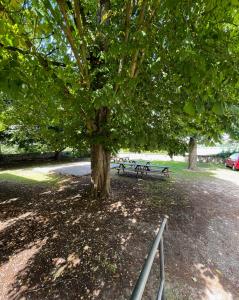 Κήπος έξω από το Krásný byt v srdci historického Tábora