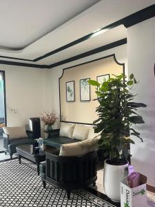 a living room with a couch and a potted plant at Love Hotel Tô Ký in Ho Chi Minh City