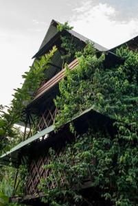 un edificio cubierto de árboles y plantas en Ayahuasca, en Puerto Nariño