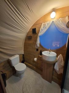 un bagno con un water e un lavandino di Nomad by Hora cu Brazi a Zărneşti